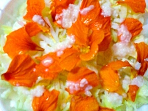 ナスタチュームと大根とセロリの蜂蜜入り塩麹サラダ✿